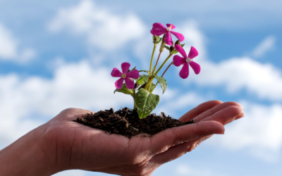 The Importance of Personal Development In Love