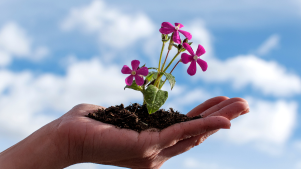 personal development